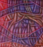 Menschliches Auge